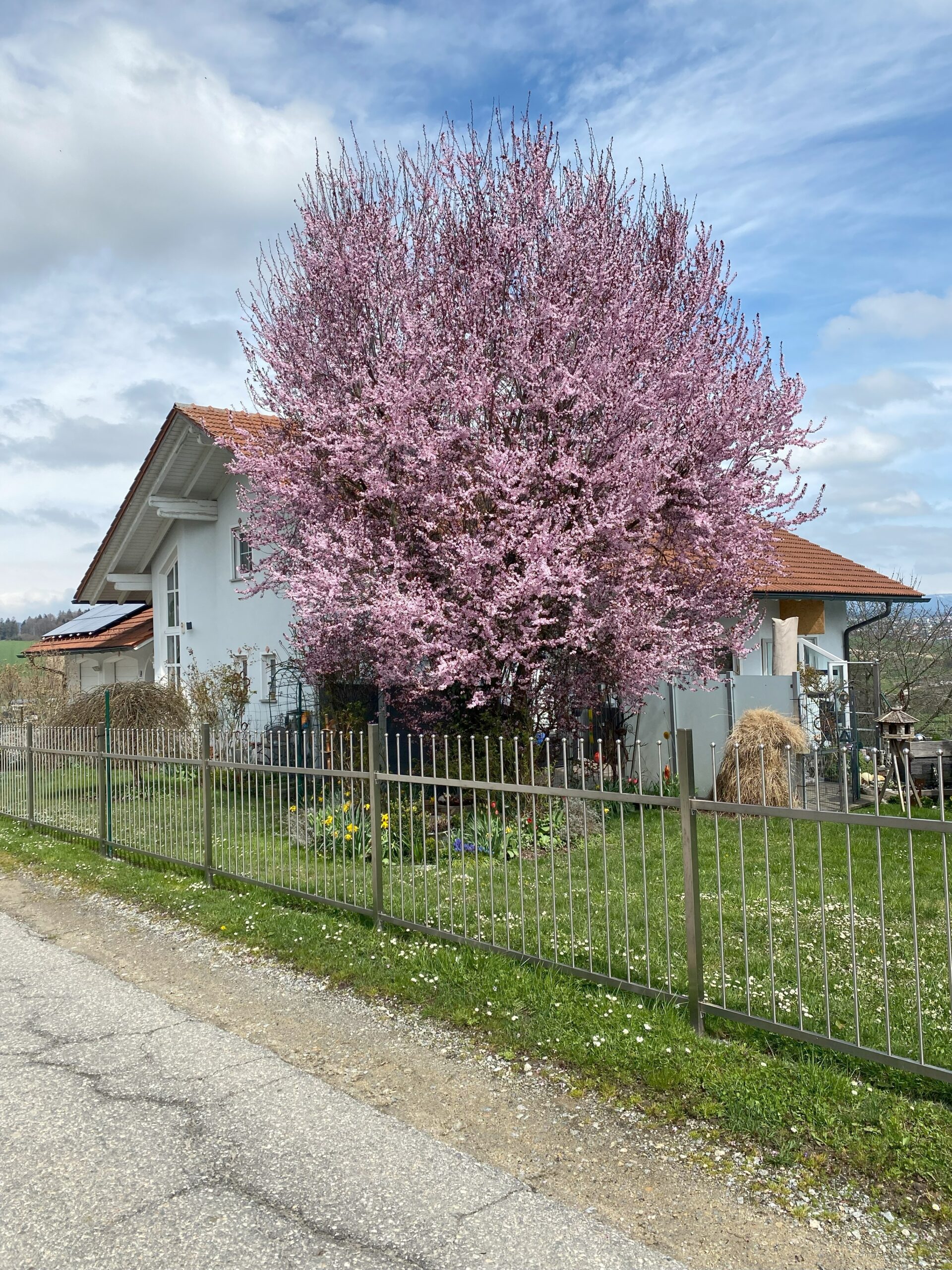 Image gallery image